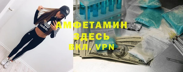 ГАЛЛЮЦИНОГЕННЫЕ ГРИБЫ Верея