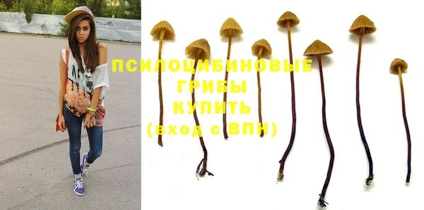 ГАЛЛЮЦИНОГЕННЫЕ ГРИБЫ Верея
