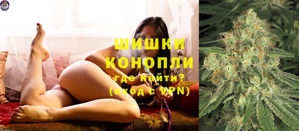 ГАЛЛЮЦИНОГЕННЫЕ ГРИБЫ Верея