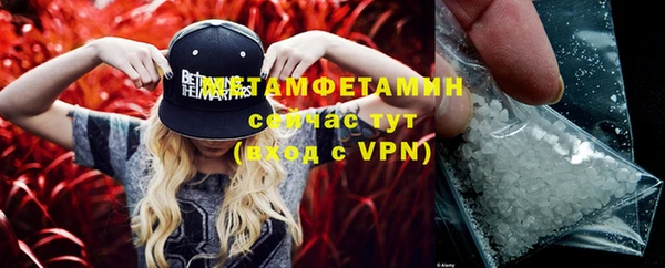 ГАЛЛЮЦИНОГЕННЫЕ ГРИБЫ Верея
