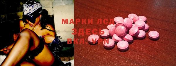ГАЛЛЮЦИНОГЕННЫЕ ГРИБЫ Верея
