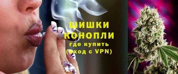 ГАЛЛЮЦИНОГЕННЫЕ ГРИБЫ Верея