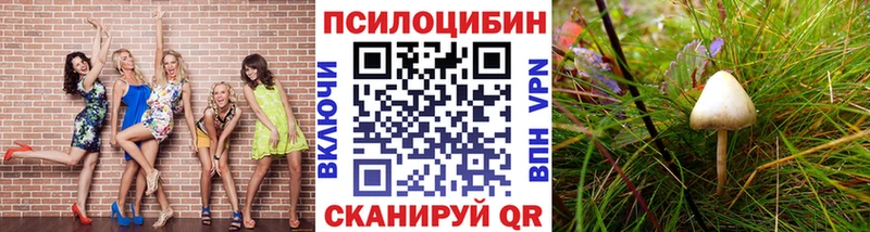 Купить  Анадырь  Псилоцибиновые грибы мицелий 